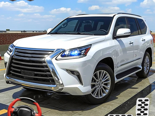 Prado Car Parking Game